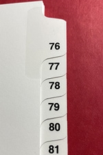 Side Tabs #76-100 Individual