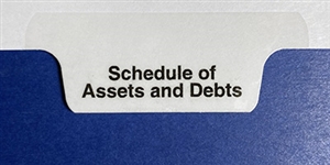 Bottom Tab - Miscellaneous 5th Cut - - Schedule of Assets and Debts - Pos. 1